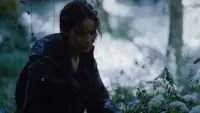 Backdrop to the movie "The Hunger Games" #766926