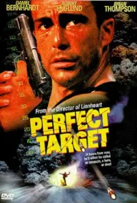 Poster to the movie "Perfect Target" #1172980