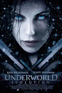Poster to the movie "Underworld: Evolution" #713752