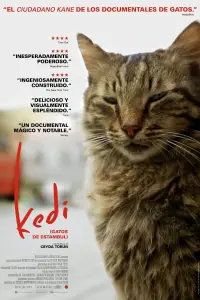 Poster to the movie "Kedi" #1167206