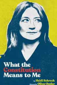 Poster to the movie "What the Constitution Means to Me" #1200986