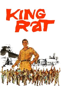 Poster to the movie "King Rat" #744388