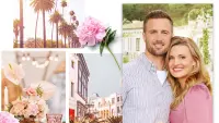 Backdrop to the movie "Beverly Hills Wedding" #730079