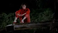 Backdrop to the movie "Friday the 13th Part III" #802802