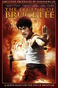 Poster to the movie "The Legend of Bruce Lee" #1176421