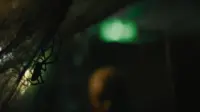 Backdrop to the movie "Infested" #190654
