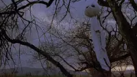 Backdrop to the movie "Halloween 4: The Return of Michael Myers" #873133