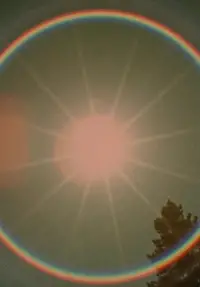 Poster to the movie "Star Garden" #1040880