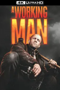 Poster to the movie "Levon