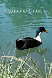 Poster to the movie "The Sound of Water Footsteps" #1158534