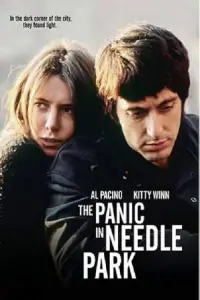 Poster to the movie "The Panic in Needle Park" #1173392