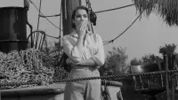 Backdrop to the movie "Creature from the Black Lagoon" #783008