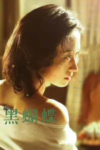 Poster to the movie "For The Memoy Never Forgotten" #838319
