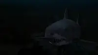 Backdrop to the movie "Jaws 3-D" #699282