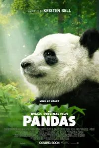 Poster to the movie "Pandas" #1079269