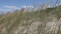 Backdrop to the movie "Summing up summer" #470056