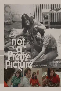 Poster to the movie "Not a Pretty Picture" #740118