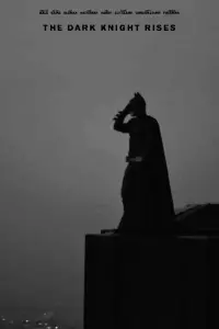 Poster to the movie "The Dark Knight" #789731