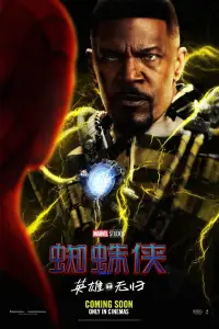 Poster to the movie "Spider-Man: No Way Home" #1015715