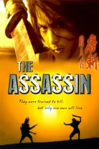 Poster to the movie "The Assassin" #1150567