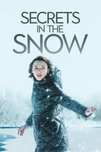 Poster to the movie "Secrets in the Snow" #1152991