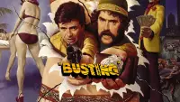 Backdrop to the movie "Busting" #969796