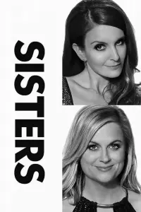 Poster to the movie "Sisters" #718715