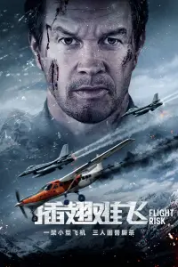Poster to the movie "Flight Risk" #763539