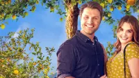 Backdrop to the movie "Love Under the Lemon Tree" #795162
