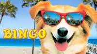 Backdrop to the movie "Bingo" #1088594