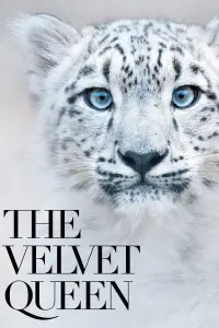 Poster to the movie "The Velvet Queen" #1175425