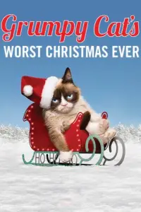 Poster to the movie "Grumpy Cat