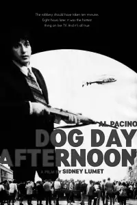Poster to the movie "Dog Day Afternoon" #1127142