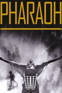 Poster to the movie "Pharaoh" #728617