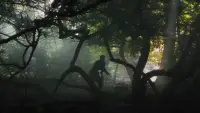 Backdrop to the movie "Annihilation" #711573
