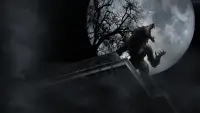 Backdrop to the movie "The Amityville Moon" #874856