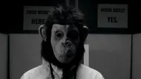 Backdrop to the movie "Monkey Man" #461043