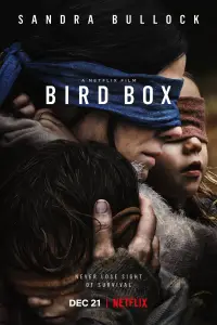 Poster to the movie "Bird Box" #938014