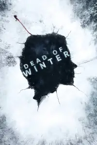 Poster to the movie "The Dead of Winter" #1003950