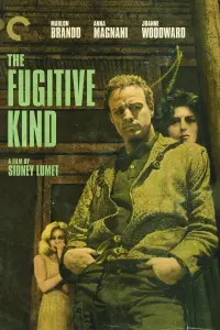 Poster to the movie "The Fugitive Kind" #159486