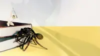 Backdrop to the movie "The Incredible Shrinking Man" #509009