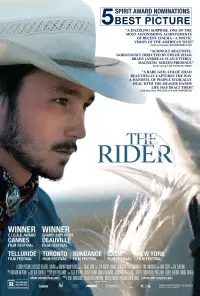 Poster to the movie "The Rider" #227976