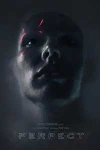 Poster to the movie "Perfect" #1265334