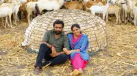 Backdrop to the movie "Kidaari" #877996