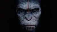 Backdrop to the movie "Dawn of the Planet of the Apes" #168379