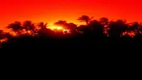 Backdrop to the movie "The Making of 