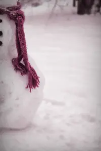 Poster to the movie "The Snowman" #1038085