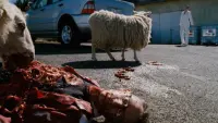 Backdrop to the movie "Black Sheep" #785916