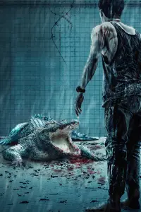 Poster to the movie "The Pool" #1093600