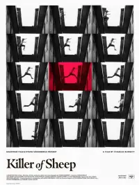 Poster to the movie "Killer of Sheep" #539659